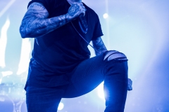 augustburnsred-2752