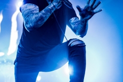 augustburnsred-2756