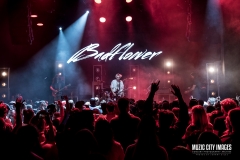badflower-8245