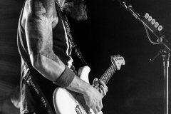 baroness-1433