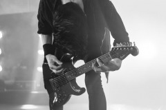 chevelle-4593