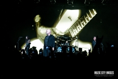 disturbed-9620