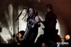 disturbed-9774