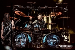 disturbed-9903