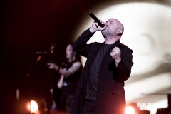 disturbed-9940