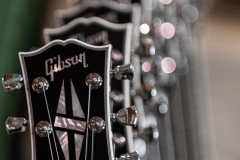 guitarforvets-3051