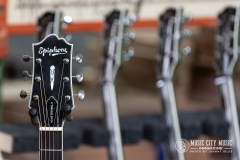 guitarforvets-3058