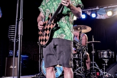 reelbigfish-5230