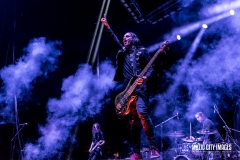 stichedupheart-5493