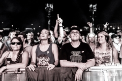 umphreys-4074