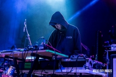 vein-9319
