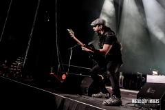 volbeat-5581