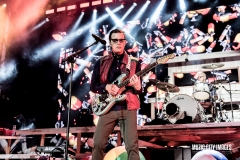 weezer-229